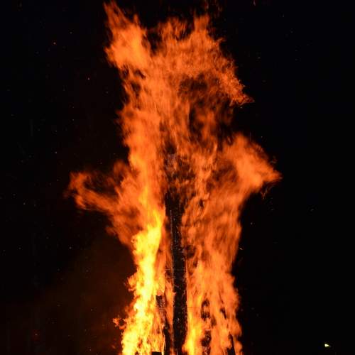 Photo #13541532