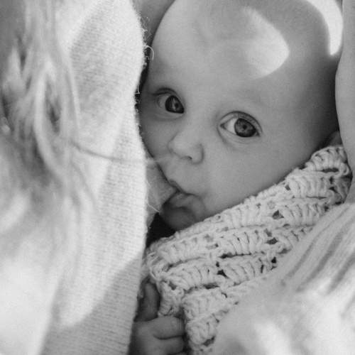 Photo #13541746