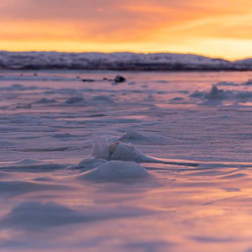 Photo #13541773