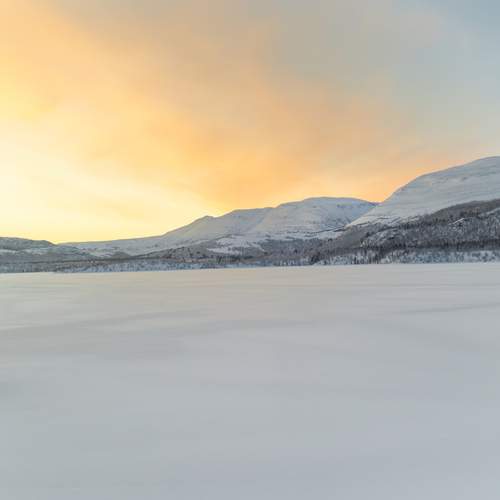 Photo #13541774