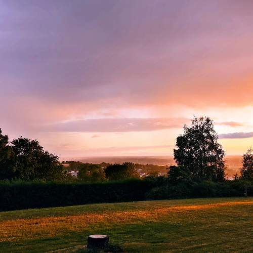 Photo #13541836