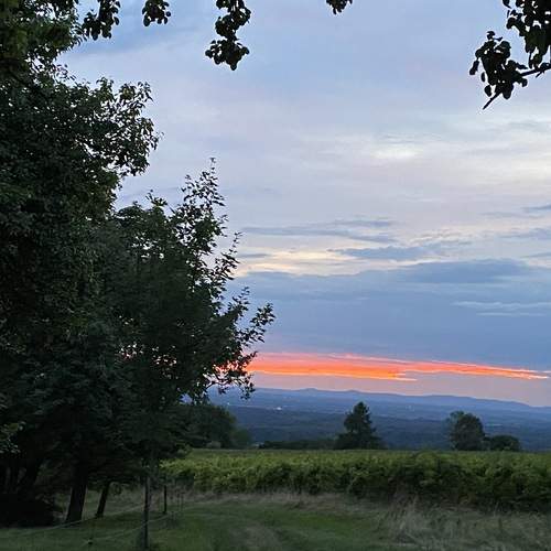 Photo #13541837