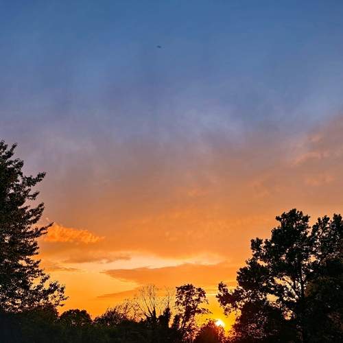 Photo #13541845