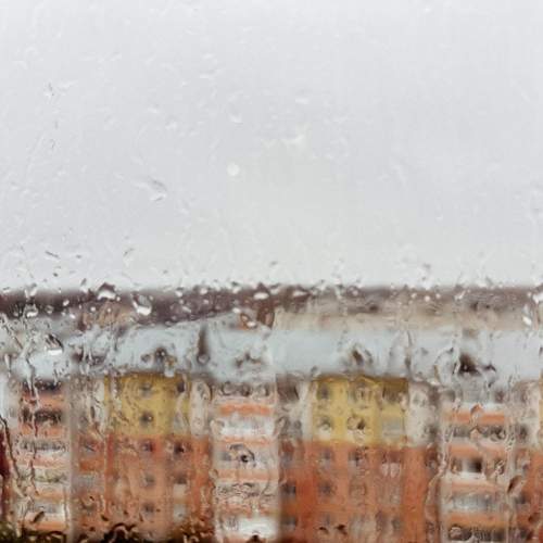 Photo #13541872