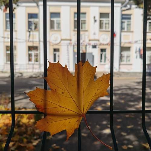 Photo #13542025