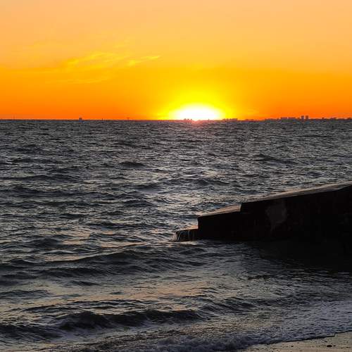 Photo #13542195