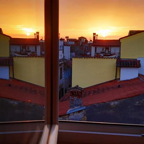 Photo #13542266