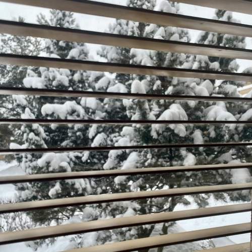 Photo #13542342