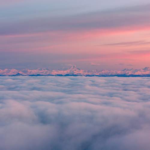 Photo #13542712