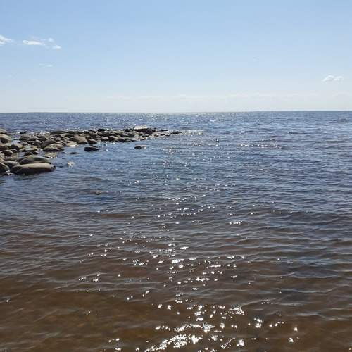 Photo #13542729