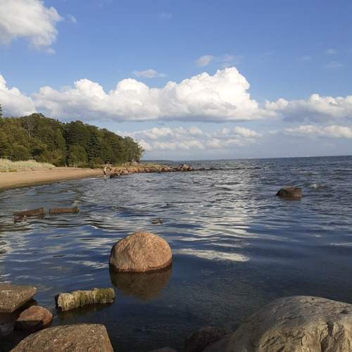 Photo #13542784