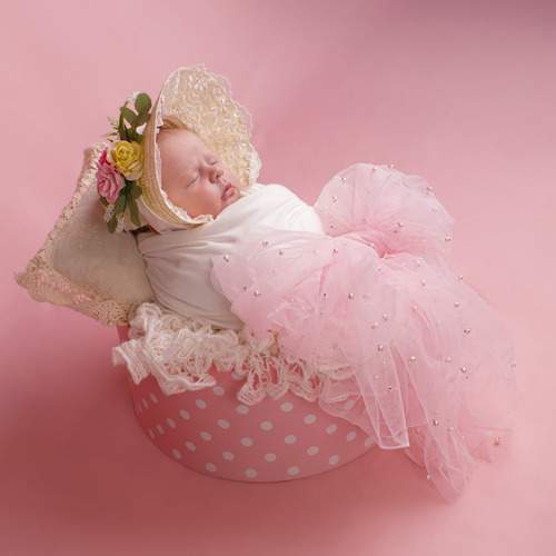 Photo #13542826