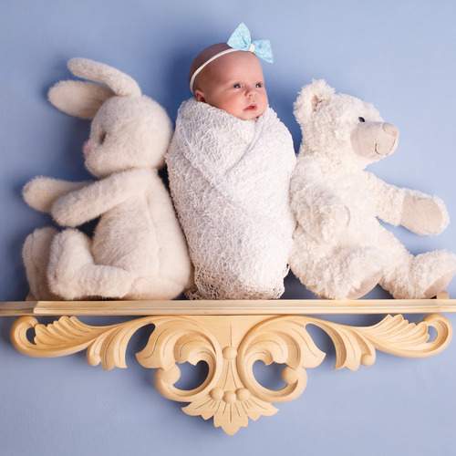 Photo #13542832