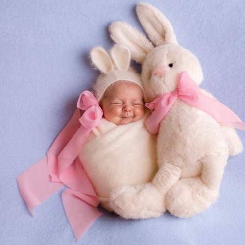 Photo #13542848