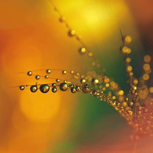Photo #13542888