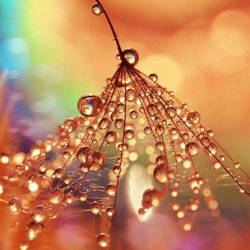 Photo #13542898