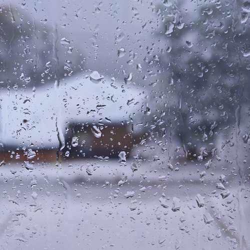 Photo #13542922