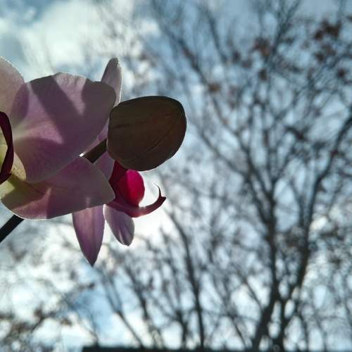 Photo #13542959