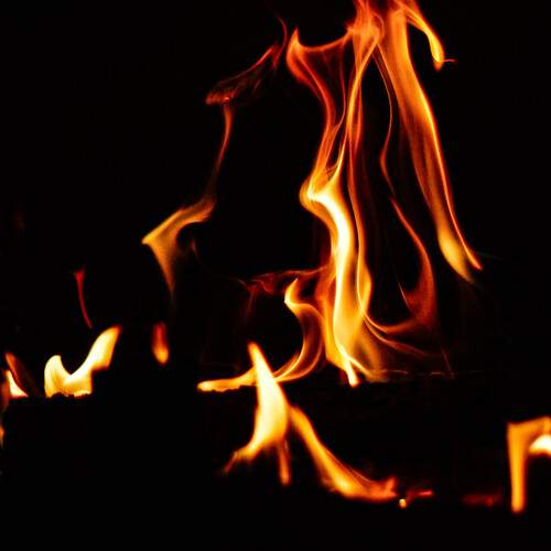 Photo #13542965