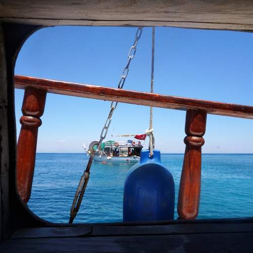 Photo #13542976
