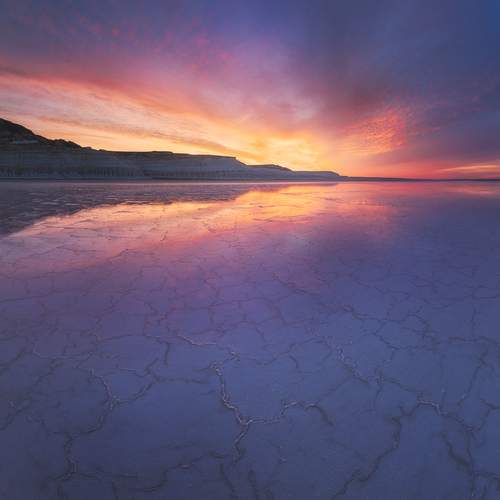 Photo #13543121