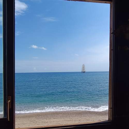 Photo #13543154