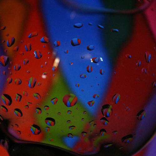 Photo #13543262