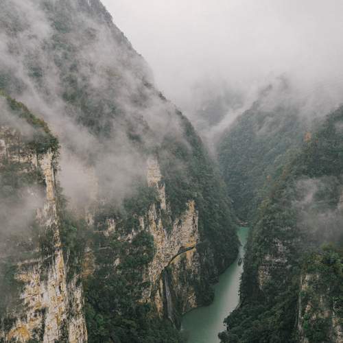 Photo #13543286