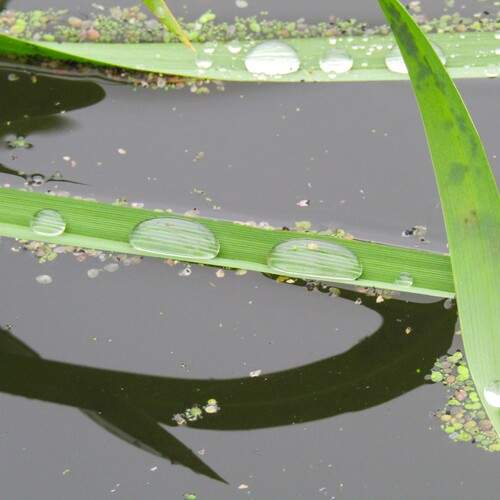 Photo #13543334