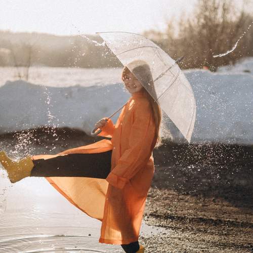 Photo #13543344