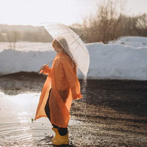 Photo #13543345