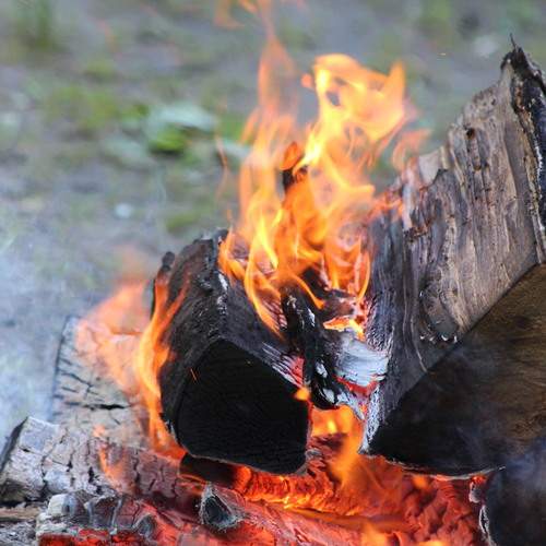 Photo #13543363