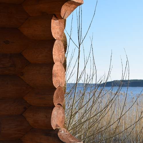 Photo #13543380