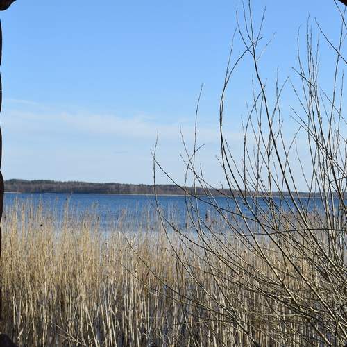 Photo #13543386