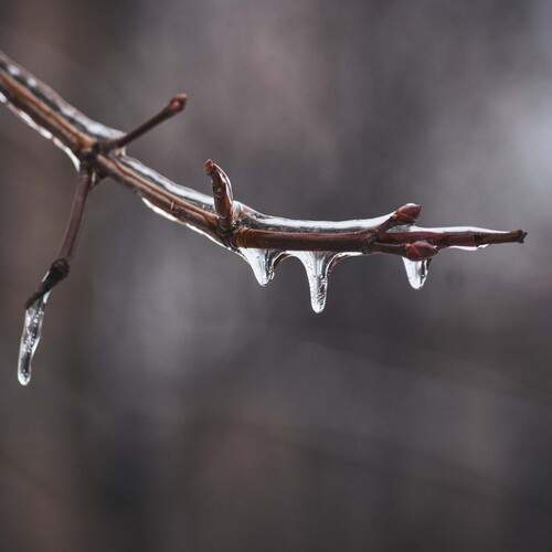 Photo #13543646