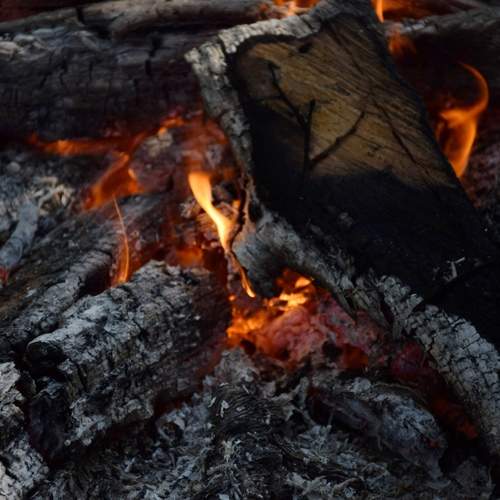 Photo #13543668