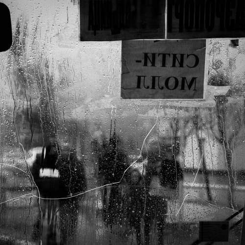 Photo #13543712
