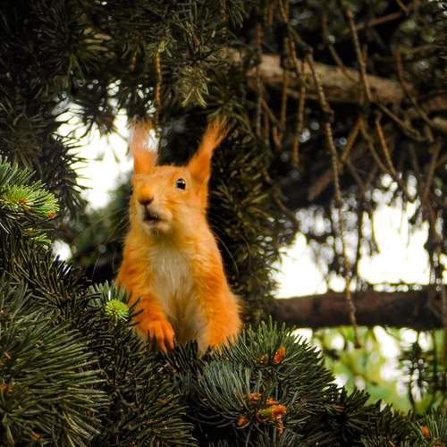 Photo #13543817