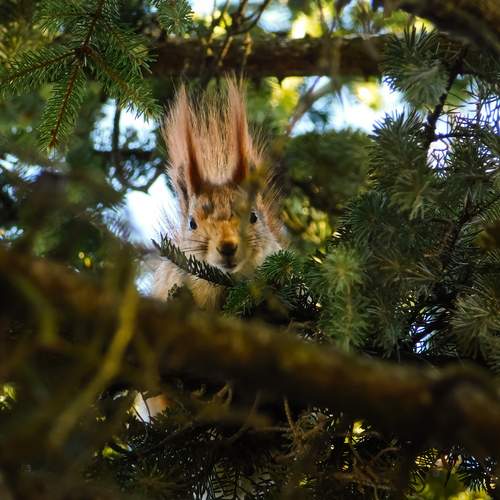 Photo #13543854