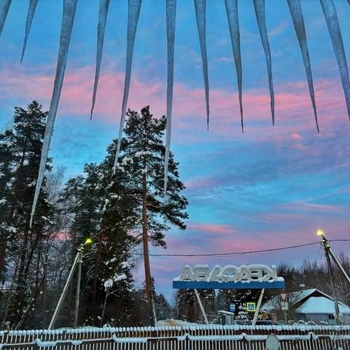 Photo #13543863
