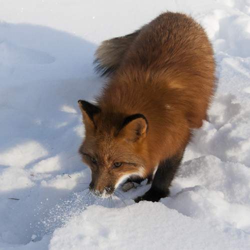 Photo #13543914