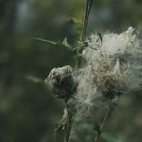 Photo #13543938