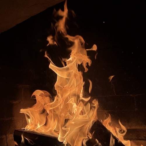 Photo #13544003