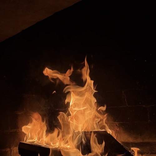 Photo #13544008