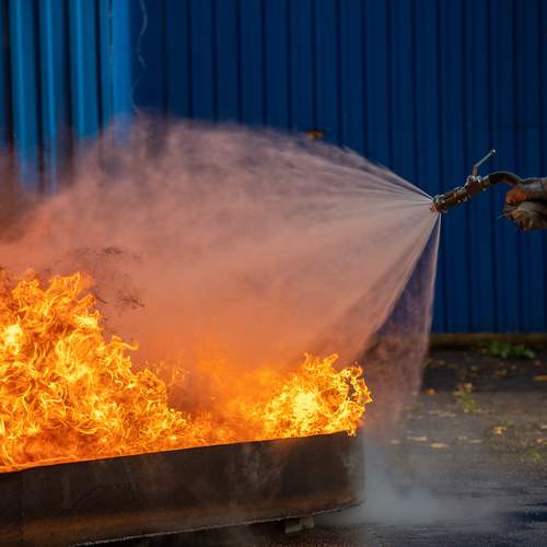 Photo #13544035