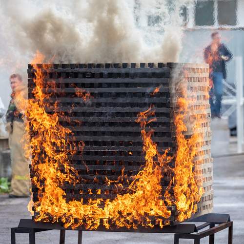 Photo #13544037