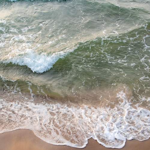 Photo #13544163