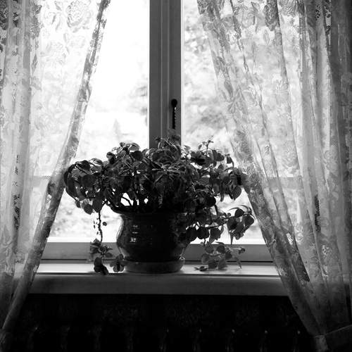 Photo #13544226