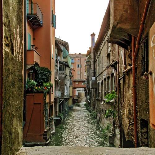 Photo #13544253