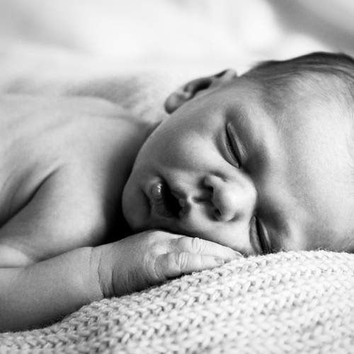 Photo #13544263